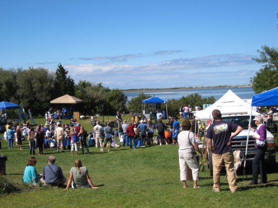 Cape Cod Wildlife Festival