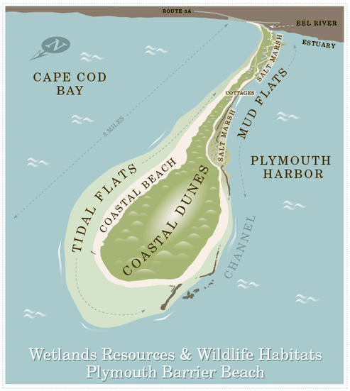 plymouth beach habitat map